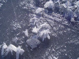 Le lac des Taillres en hiver
