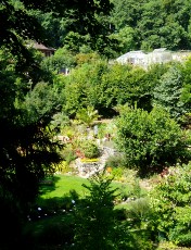 Jardin botanique au mois d'aot  Neuchtel
